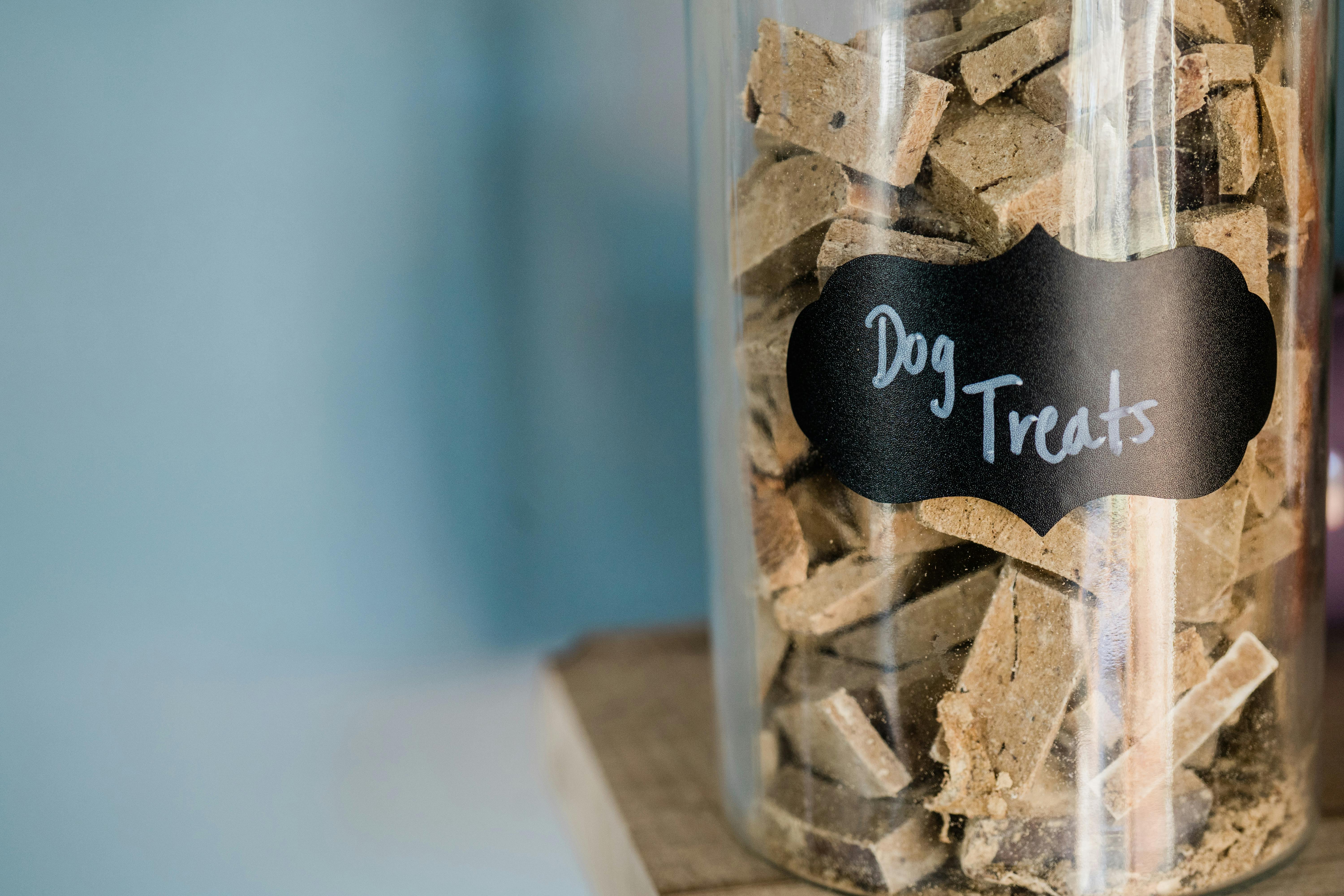 Choosing the Best Dry Dog Food: A Comprehensive Guide